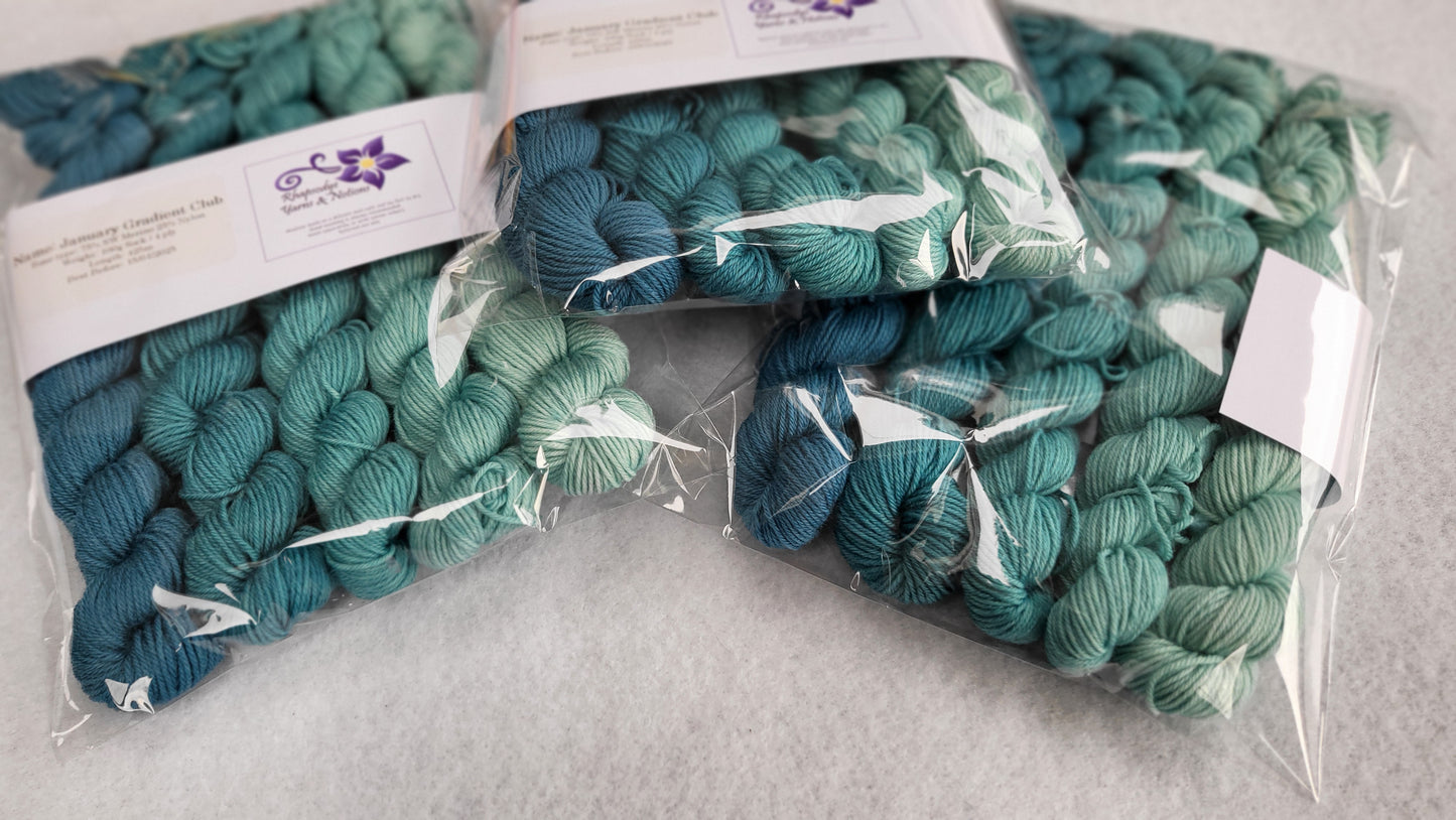 Mini Skein Gradients Club Set (Jan)