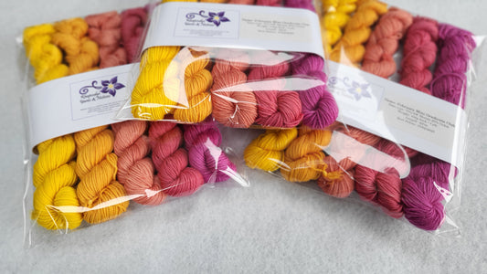 Mini Skein Gradients Club Set (Feb)