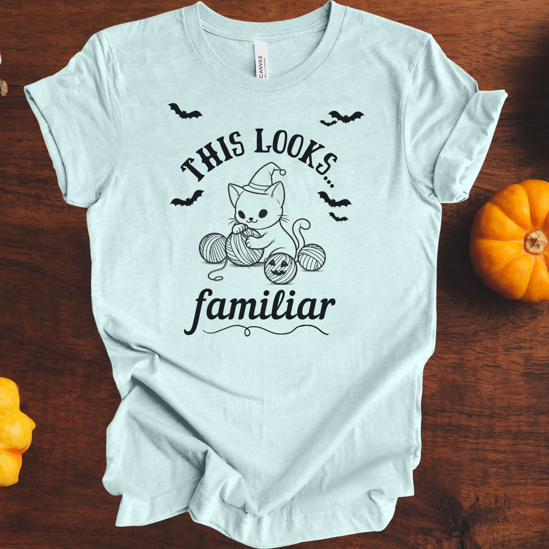 'This Looks Familiar' t-shirt